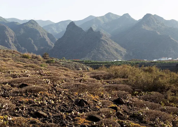 Chalé Home2book Rustic Stone Haven With Terrace La Guancha
